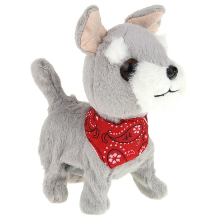 Interactive Dog on a Leash Mascot Schnauzer Walks and Barks