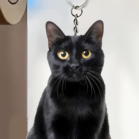 Pendentif Sac 2D Acrylique Plat Noir Blanc Chat Breloque Porte-clés Portable Léger Organisateur de Clés Accessoire Pendentif Sac à Dos