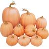Winlyn 10 Pcs Assorted Artificial Orange Pumpkins Decorative Pumpkins Faux Light Orange Pumpkins Foam Pumpkins for Fall