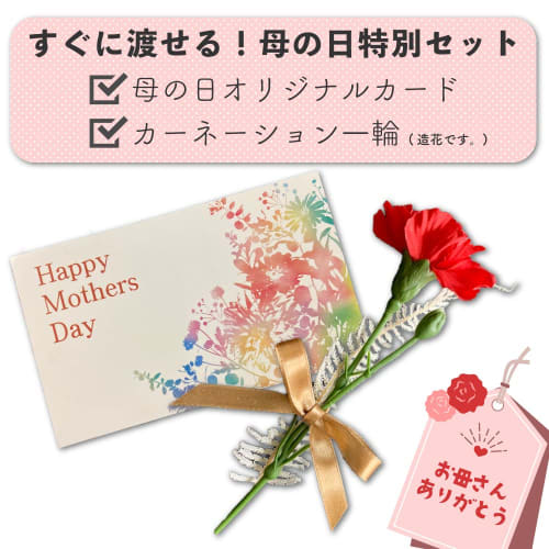 MAINE BEACH Essential Duo Pack Hand Cream & Lip Balm Set, Gift Wrapping, Mother's Day Set with Carnation (Riverland Orange/Mother's Day Set) from an A