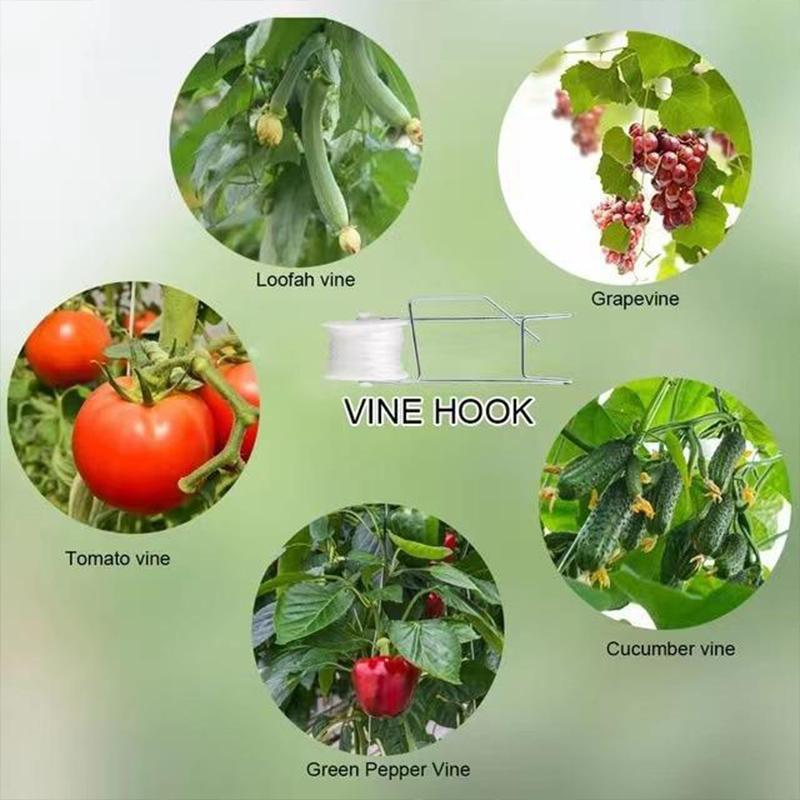 6PC Tomato Cherry Hook Grid Line Greenhouse Tomato Hook Suitable For Supporting Potted Plants