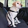 Dog Seat Belt - Friends On Tour - Size XS - Length 20/50 Cm - Black