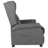 VidaXL Fauteuil Inclinable, Siège avec Accoudoirs et Dossier, Chaise de Relaxation avec Repose-pied, Meuble de Salon, 340949