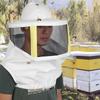Comfortable Polyester Cotton Bee Keeping Hat Durable Mesh Ventilated Anti Bee Net Cap Protective Beekeeping Hat Fishing