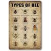 Vintage Bee Knowledge Tin Sign - Retro Metal Wall Art Decor for Classroom and Bathroom - Ect Hanging Poster 8 X 12 Inch