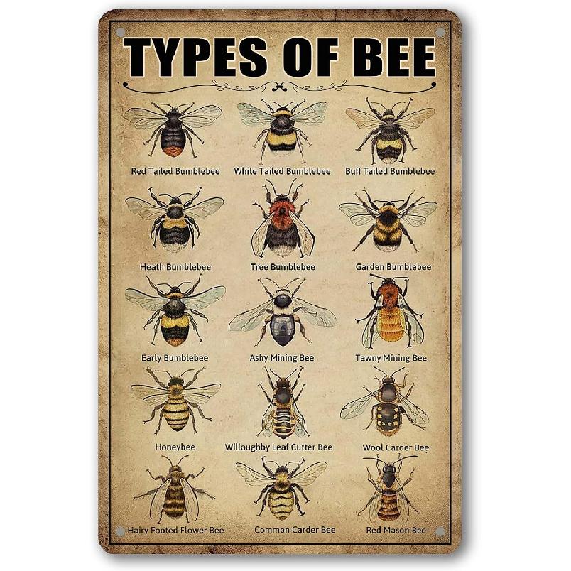 Vintage Bee Knowledge Tin Sign - Retro Metal Wall Art Decor for Classroom and Bathroom - Ect Hanging Poster 8 X 12 Inch