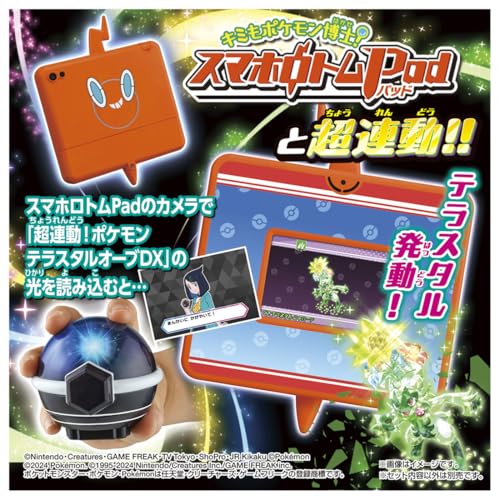 Taschenmonster, super verlinkt!Pokémon Terrastal Orb DX