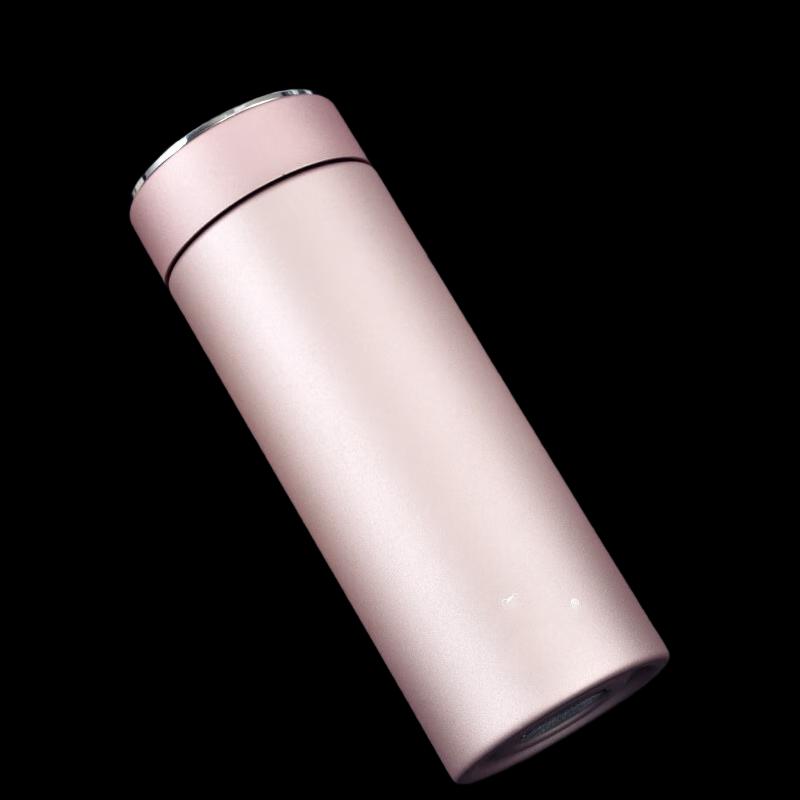 ZISHI Portable Double-Layer Glass Insulated Tea Cup