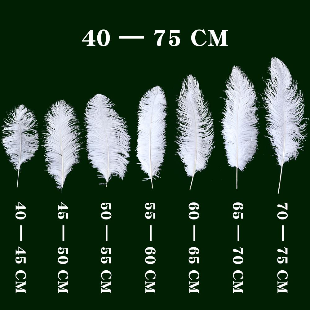 10Pcs White Ostrich Feathers for Wedding Party Decoration DIY Natural Feather Table Centerpiece Vase Craft Carnival Plumas Decor