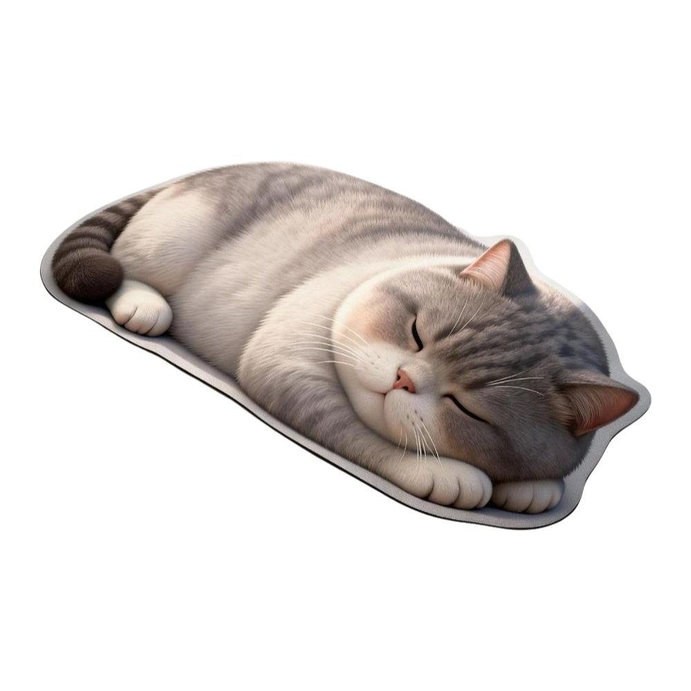Super Absorbent Diatom Absorbent Doormat Washable Bedroom Carpet  Household Daily Decoration
