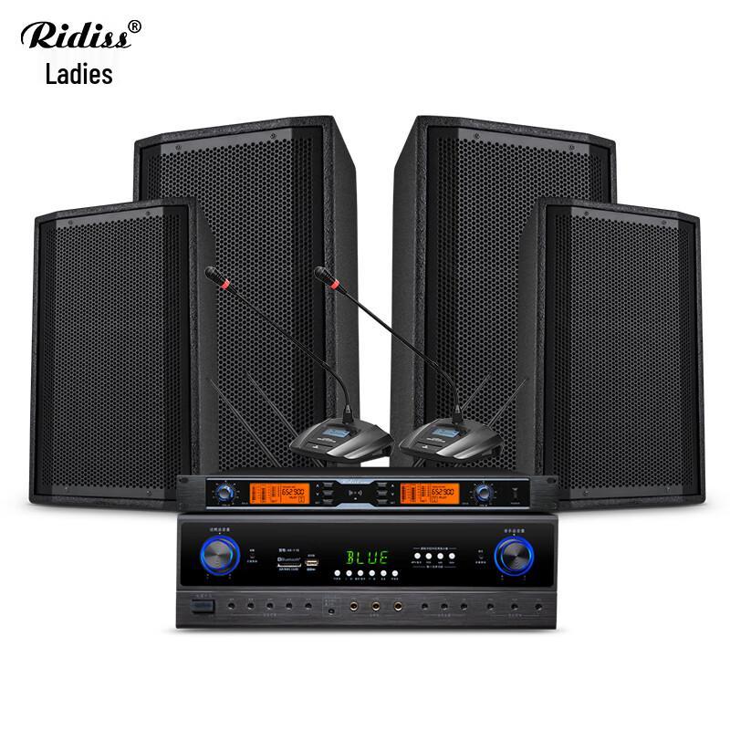 Ridiss AC208 Conference Room Audio System