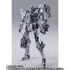METAL BUILD Gundam Astraea II "Mobile Suit Gundam 00 (Doppeltes O)" Metallbau