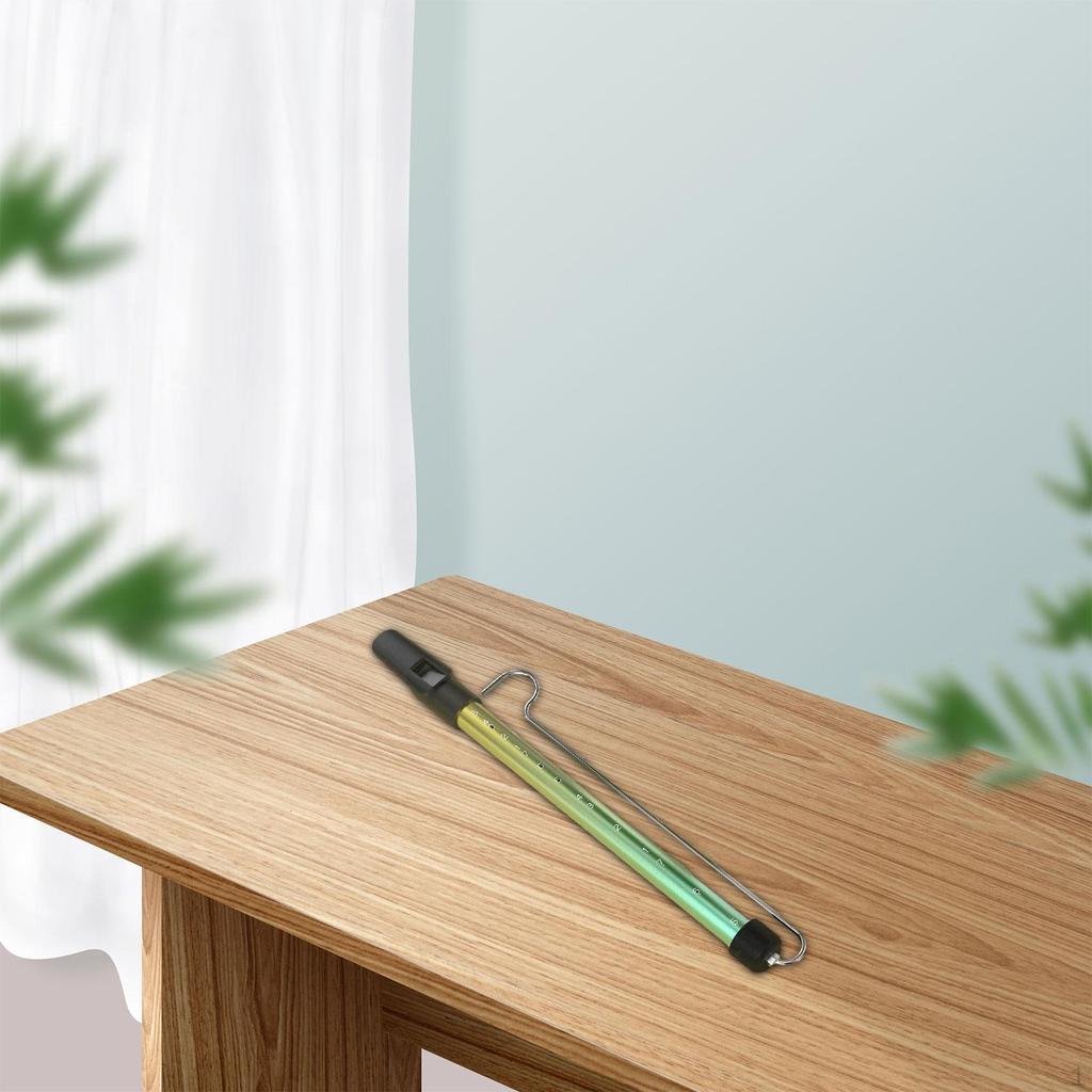 Slide Whistle Adults Toy Musical Wind Instrument for School Prizes Performers Children