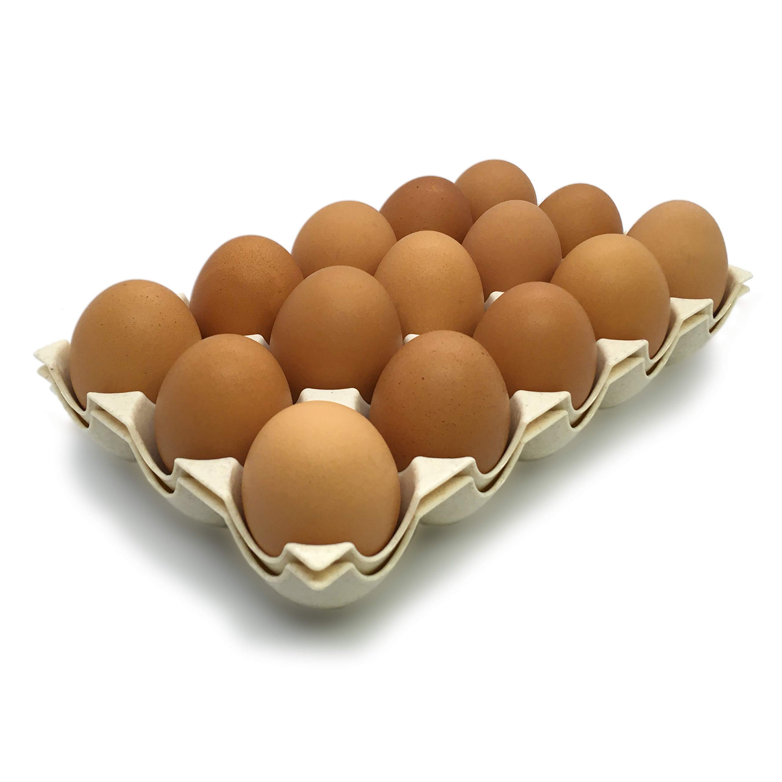 

EDEN Egg Storage Containers, Holds 15 Eggs, Set of 2, Plastic, Stackable (Ivory) [E633]