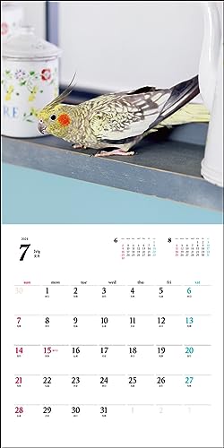 2024 Calendar Cockatiel (Seibundo Shinkosha Calendar)