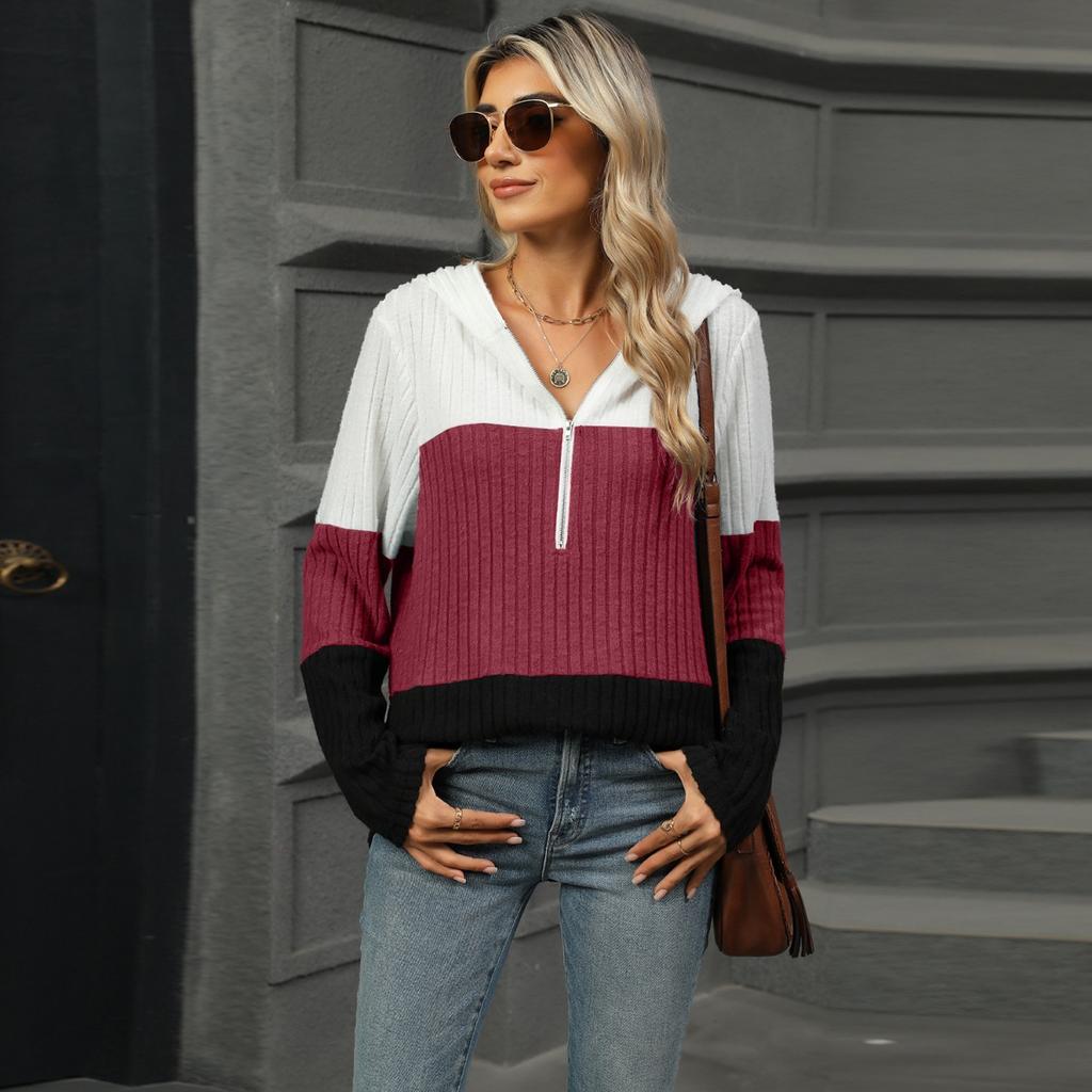 Women's Autumn and Winter New Loose Contrasting Color Spliced Zipper Hooded Long Sleeved Top for Women