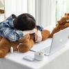 Mammoth plush toy simulation animal doll office lunch break sleeping throw pillow children's companion doll