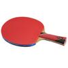 DOUBLE FISH 8-Star Professional Carbon Table Tennis Racket