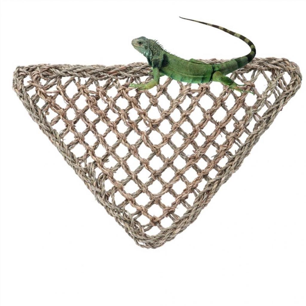 Ještěrka Lehátko Plaz Hračky Houpací síť Houpačka Domácí Zvířata Trojúhelník Anoles Gekoni Leguáni