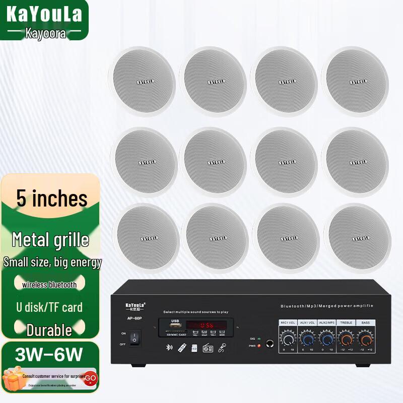 KaYouLa Conference Audio/Video Ceiling Speaker Sets (CN Version)