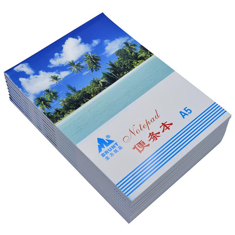 A5 Blank Tear-Off Memo Pads (10-Pack)