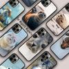 Chill Seal - Animals Cute Magnetic Phone Case For APPLE iPhone 17 Air 16 14 13 12 Pro Max 15 Plus Wireless Charge MagSafe Cover