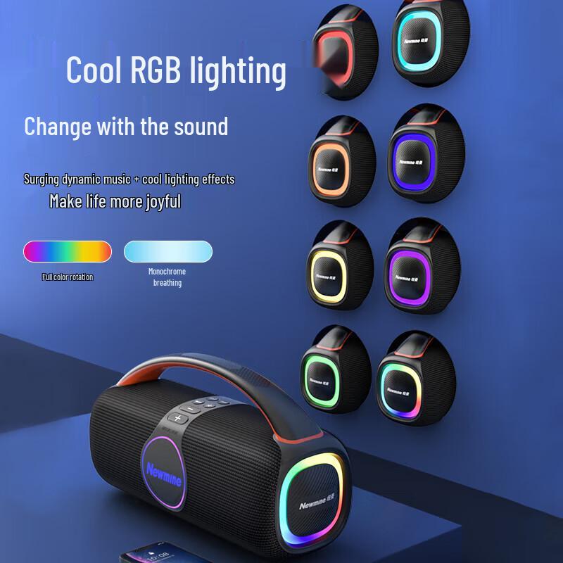 Newman N500 Portable KTV Bluetooth Speaker with Dual Mics