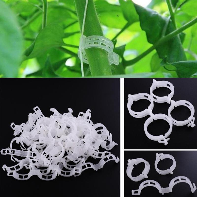 50pcs Tomato Clips Trellis Garden Plant Flower Vegetable Binder Twine Plant Support Greenhouse Clip Supplies