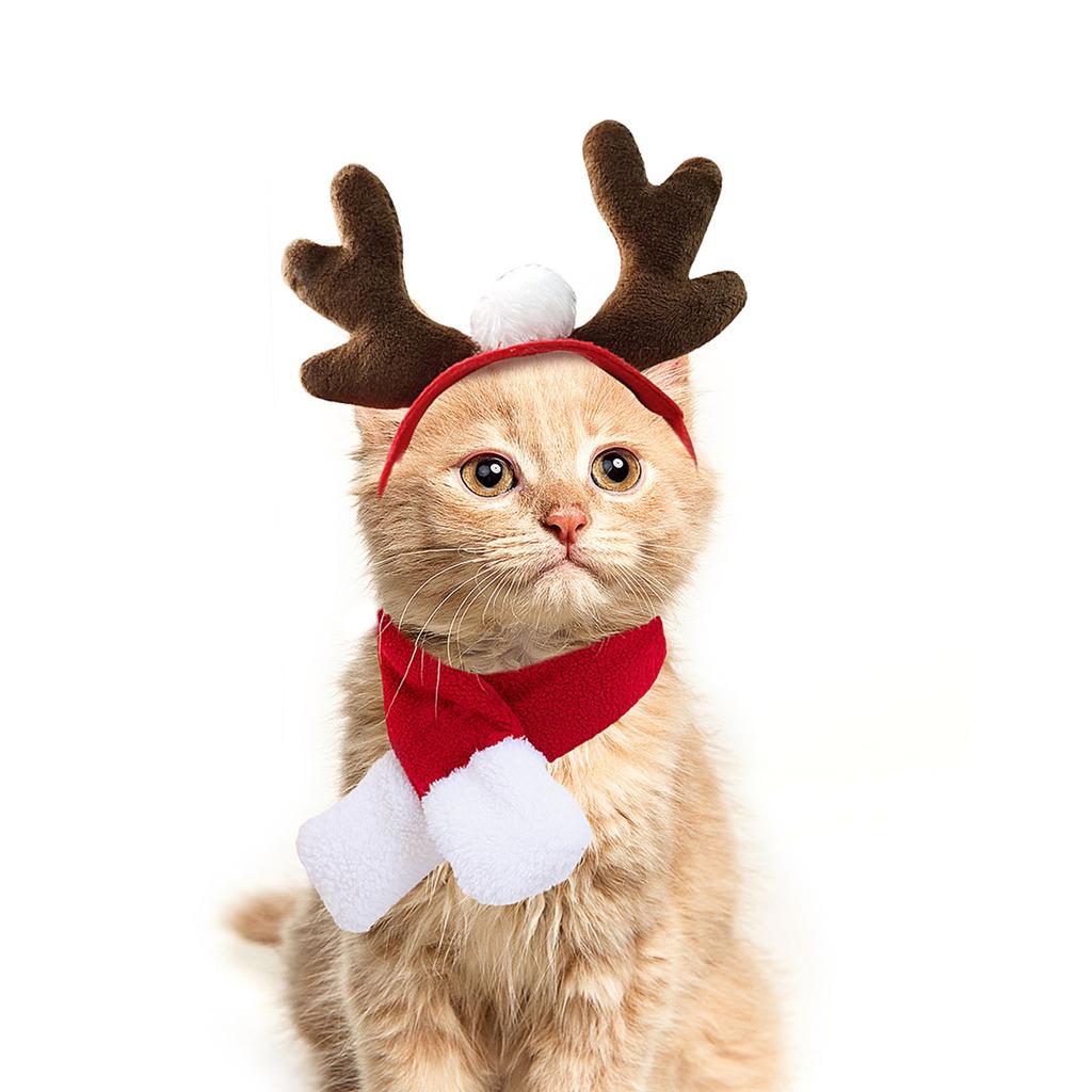 Festive Pet Antler Headband +Scarf Set Dress Up Your Furry Friend! Christmas Photo Props for Dogs and Cats Accessories