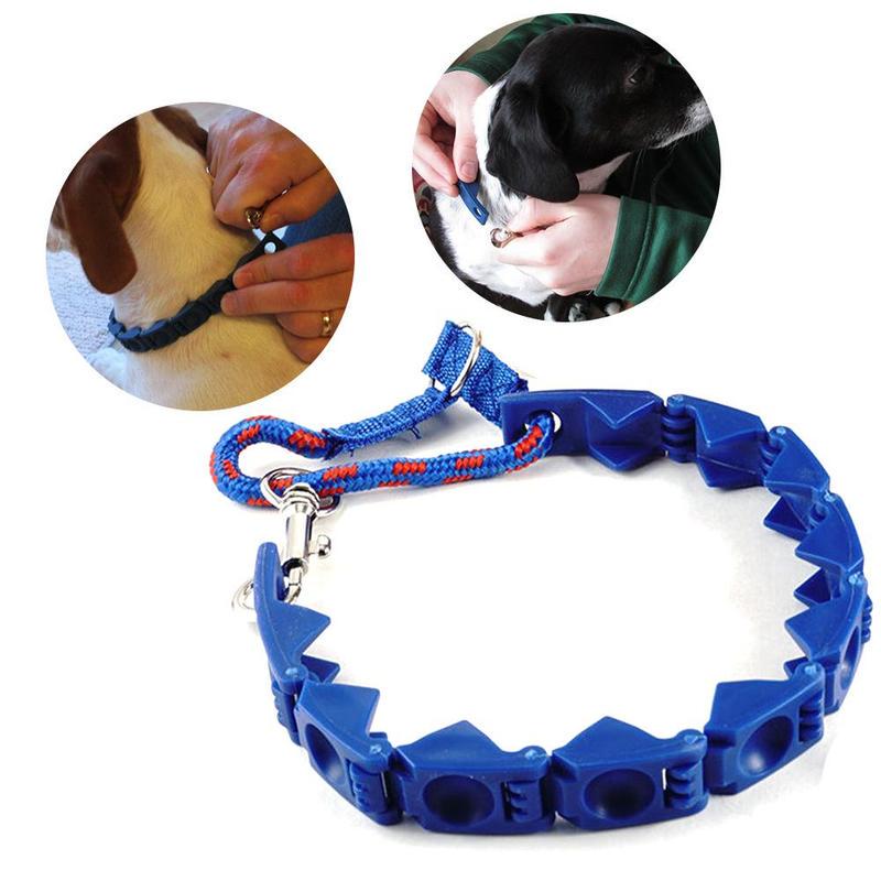 perfect dog command collar small