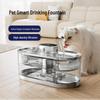 Smart Stainless Steel Cat & Dog Water Dispenser with Water-Electricity Separation