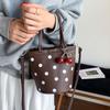 Trendy Niche Polka Dot Handbag Women's 2025 New Korean Version Ins Versatile Bucket Bag Super Fire Messenger Bag