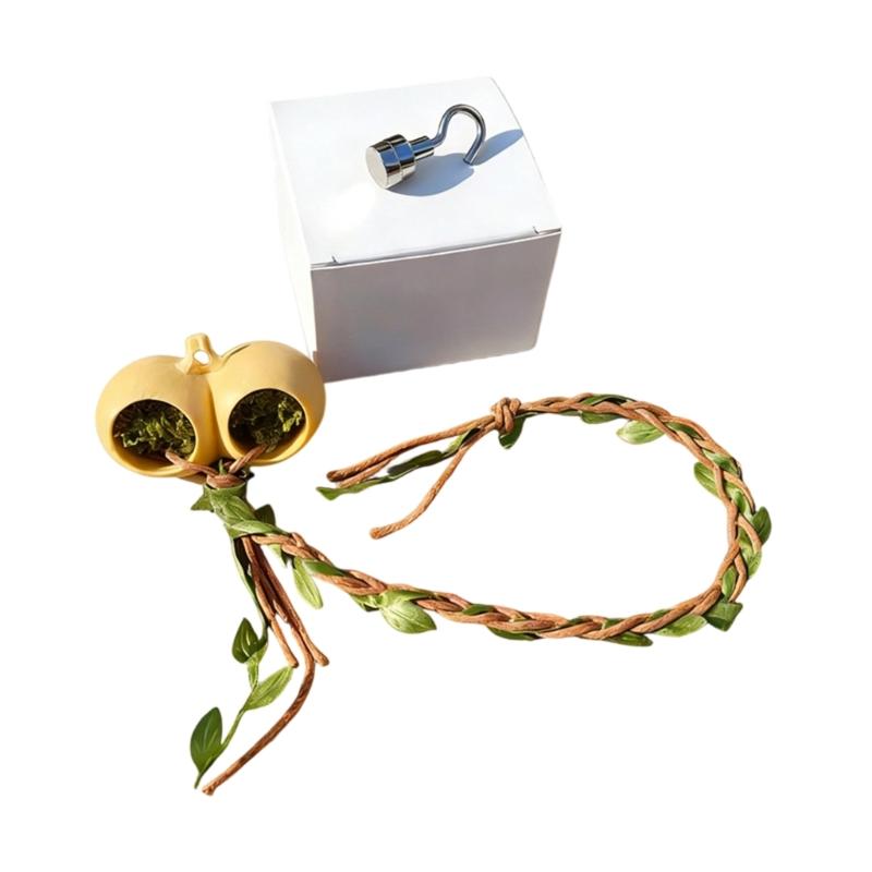 Jumping Spiders Enclosure Acrylic Terrariums Habitat Ventilation Spiders Tanks for Spiders Tarantulas Snails Reptiles