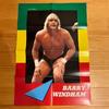 Barry Windham Professional Wrestling Poster, Foreign Wrestler