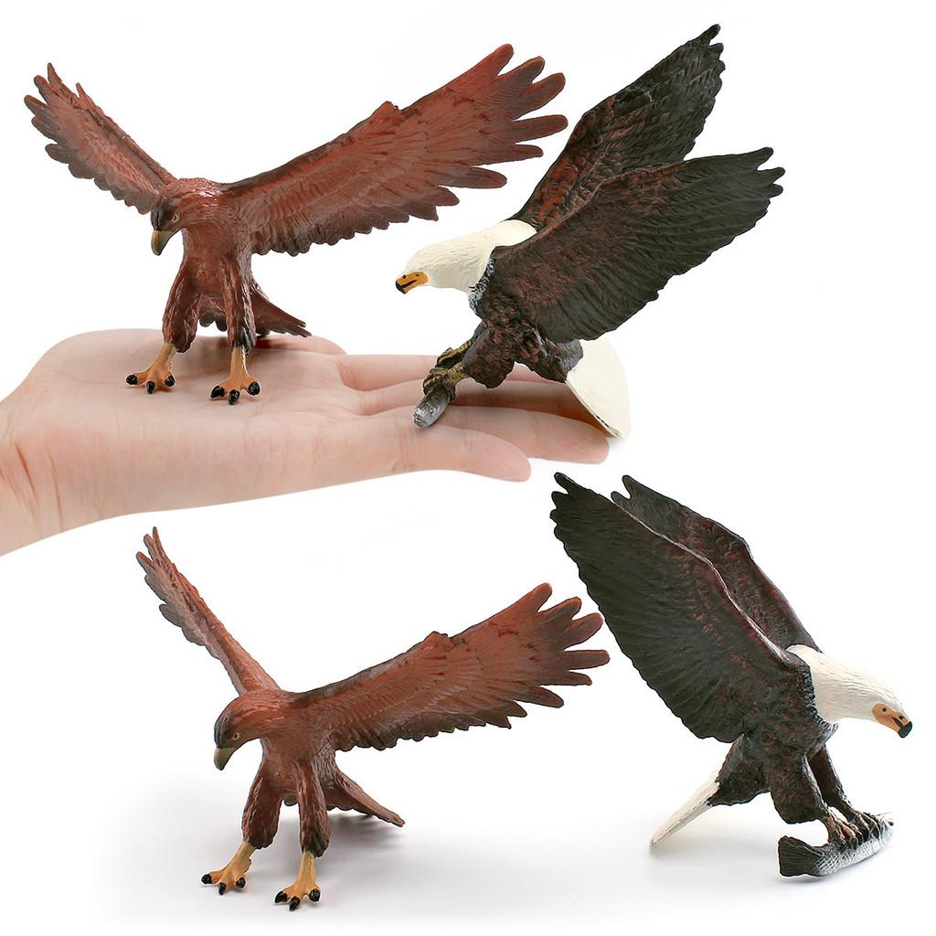 Wildlife Bird Eagles Replicas Pvc Desk Ornaments For Children Classroom Learning