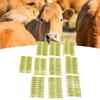 100 SZTUK 001‑100 Plastikowe Kolczyki Numeryczne Dla Bydła Zintegrowane Odporne Na Kolor Kolczyki Uszne Dla Bydła Krów Owiec Świń Kóz
