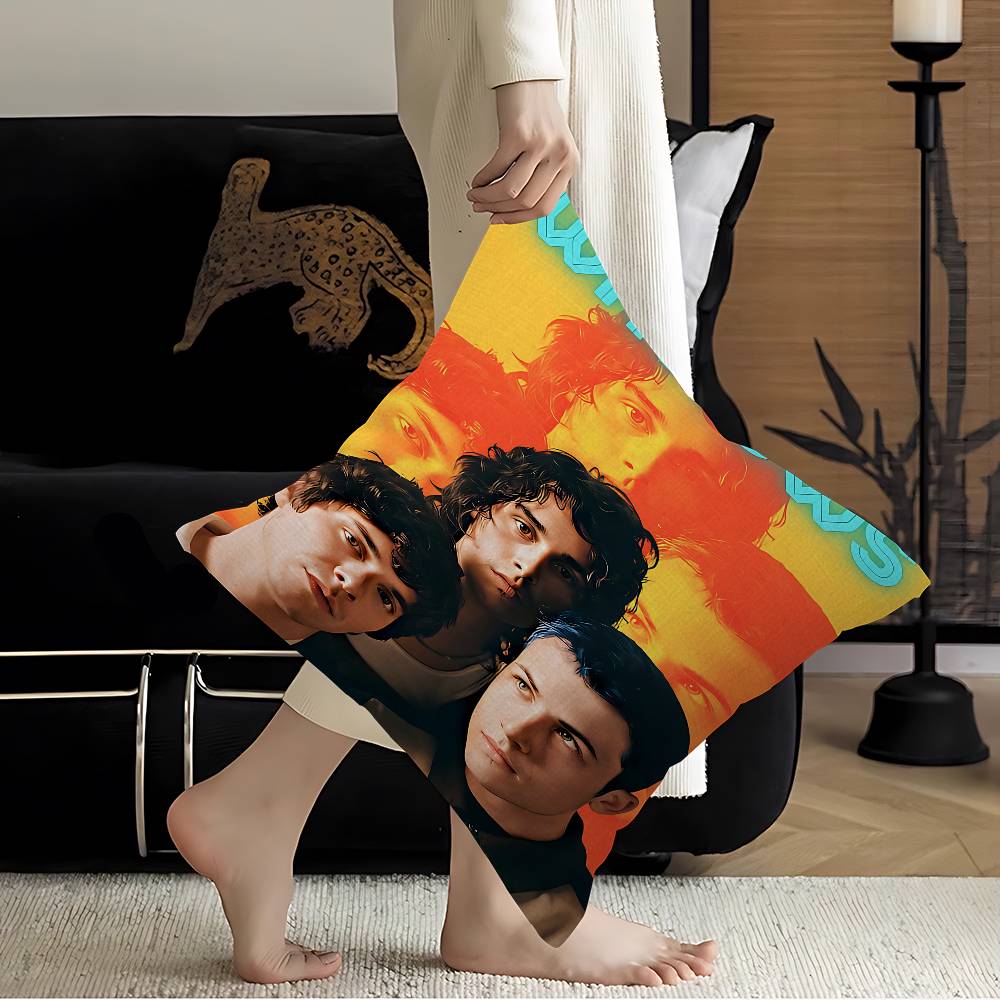 Amine Wallows Stitch Lucky Dragon Pillow Cover Sofa Cushion Cover Home Room Decoration Children Gift