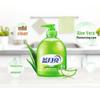 Blue Moon Aloe Vera Antibacterial Hand Wash Liquid