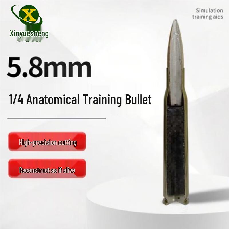 5.8mm Quarter Dissection Bullet Training Model