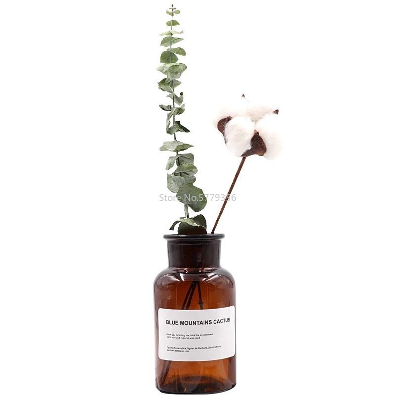Nordic Glass Vase Home Creative Jewelry Ornaments Transparent Dried Flower Hydroponic Small Brown Bottle Vase Bedside Decoration