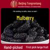 North Tongnei Ting Shangyong 220g Wash-Free Dried Mulberry Tea - No Fumigation, No Boiling Needed, Genuine Product