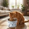 Stainless Steel Pet High Foot Bowl Cartoon Pet Food Bowl Cute Elevated Cat Bowl  Pet Accessories