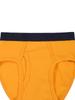 Boys' Combed Cotton Solid Color Elastic Briefs