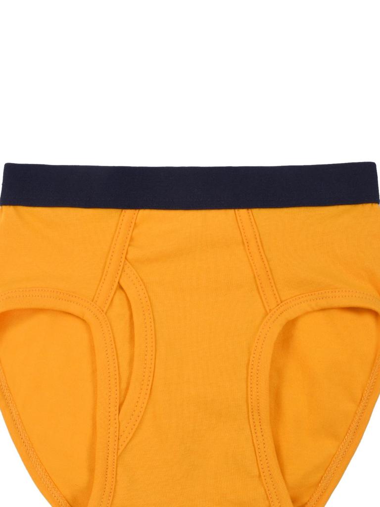 Boys' Combed Cotton Solid Color Elastic Briefs