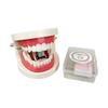 Mini Denture Shaped Stapler Denture Shape Novelty Stapler Tooth Stapler  Desktop Decoration