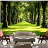 Fundal Pădure Însorită 2D, Fundal Foto Alee de Parc Mărginită de Copaci Verzi