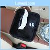 Niedliche Cartoon Panda Auto Taschentuchbox Multifunktionaler Fahrzeugsitz Rücken Aufbewahrung Plüschmaterial Universelle Auto Taschentuchbox