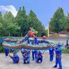 Gold Stamped Dragon Dance Performance Prop