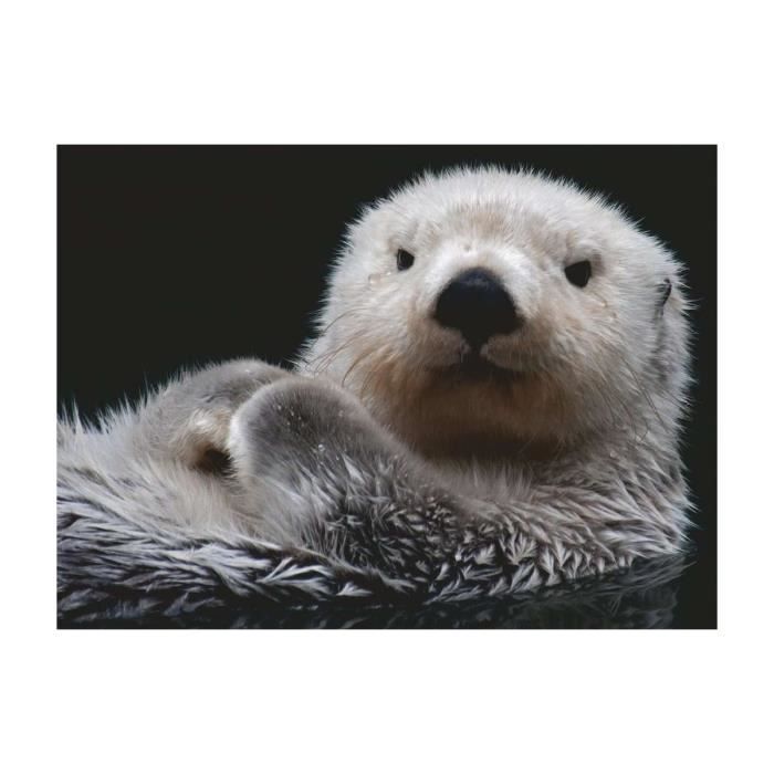 Puzzle animaux - ravensburger - petite loutre mignonne - 500 pièces - pour enfants à partir de 6 ans