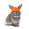 1pcs Pet Yellow Hat Soft Felt Bunny Hat For Guinea Pig Hamster Rabbit Party Decoration Head Cover Pet Costume